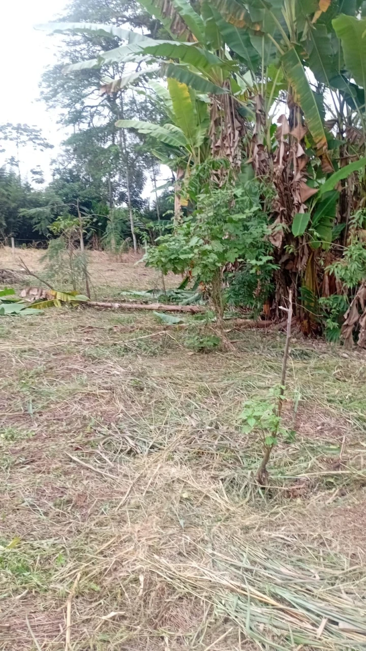 Imagens do imóveis Terreno à Venda no Rio Bonito (Pirabeiraba)
