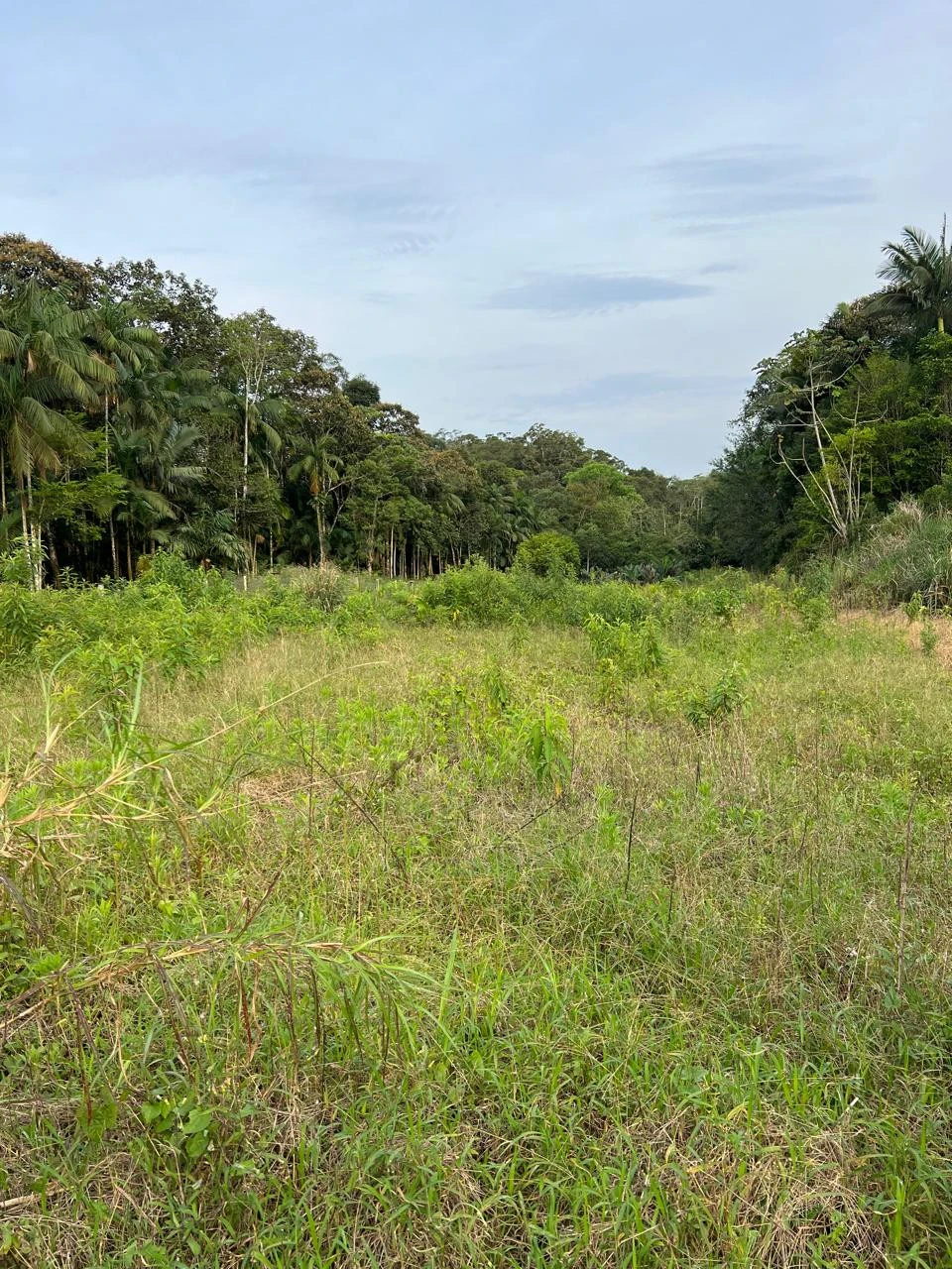 Imagens do imóveis Chácara Completa à Venda em Pirabeiraba