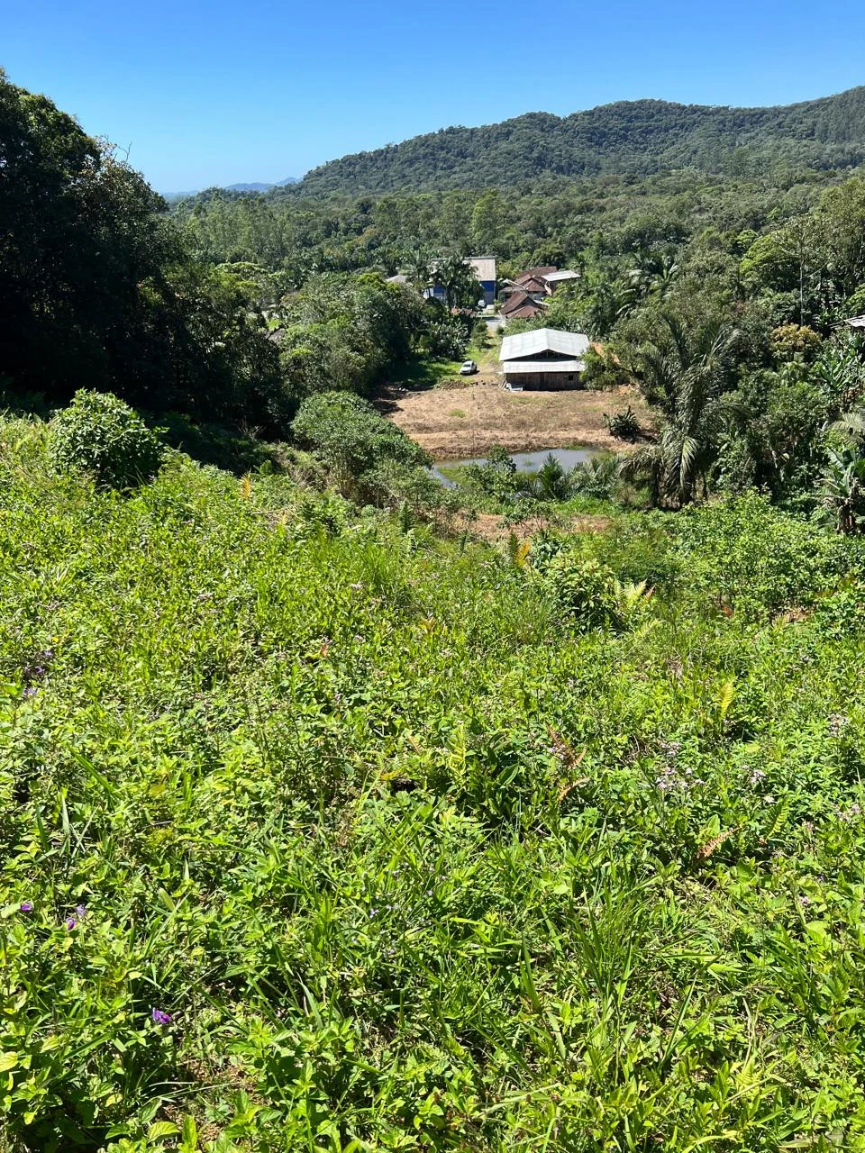 Imagens do imóveis Chácara à Venda Pirabeiraba  (Joinville)