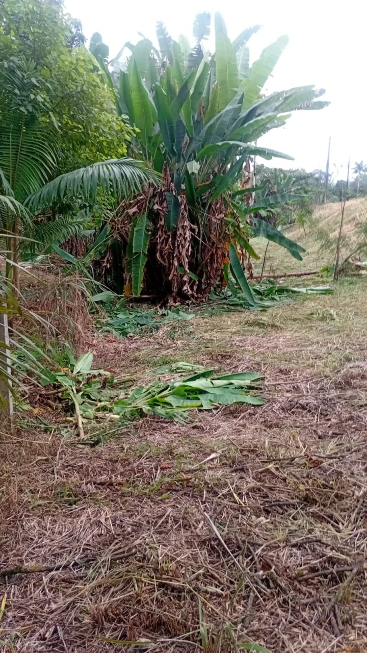 Imagens do imóveis Terreno à Venda no Rio Bonito (Pirabeiraba)
