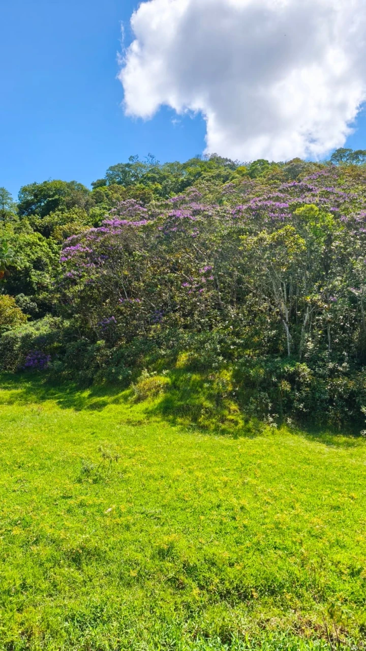 Imagens do imóveis Terreno À Venda Rio Bonito (Pirabeiraba) Joinville
