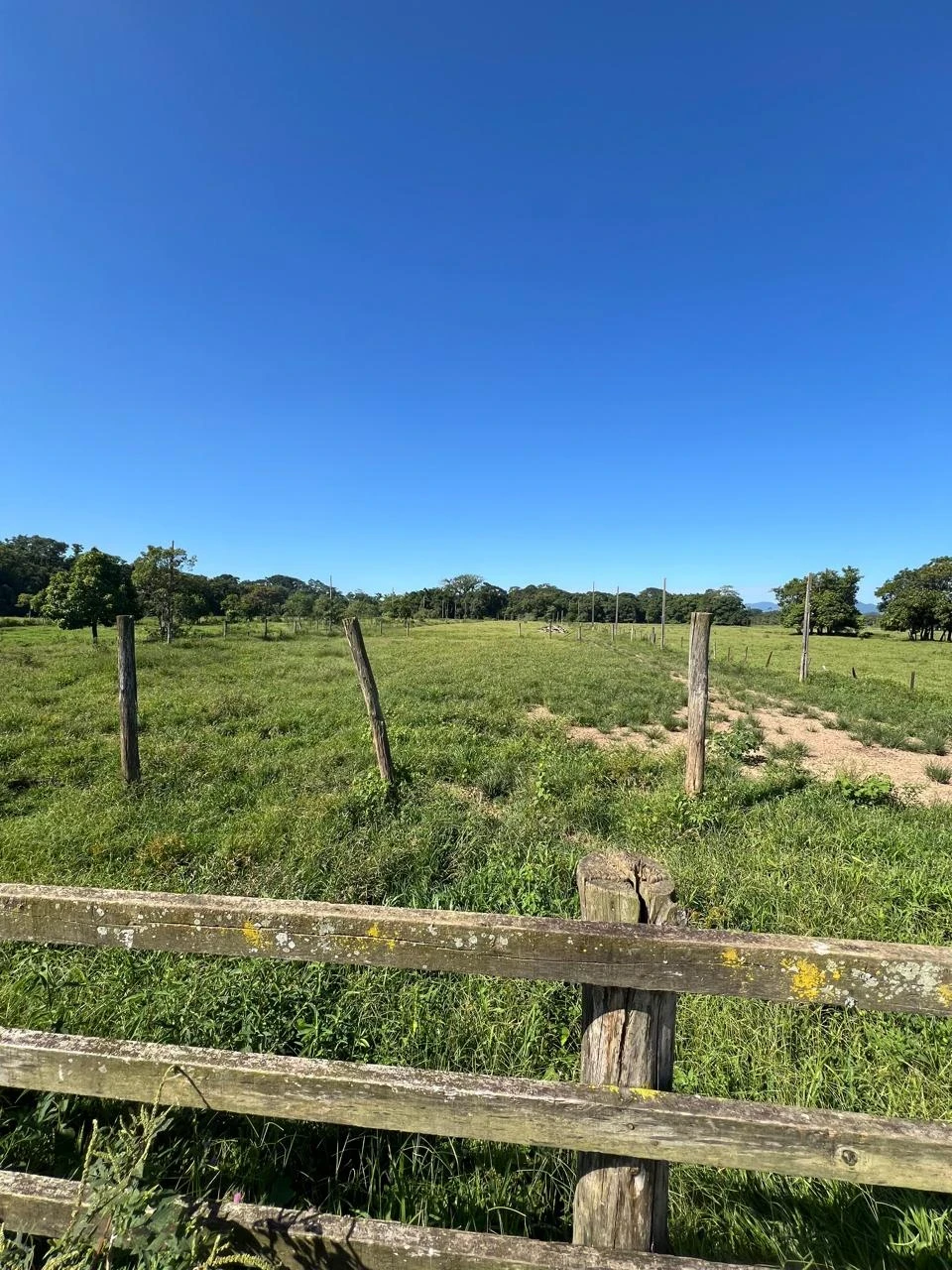 Imagens do imóveis Sítio à Venda Estrada da Ilha