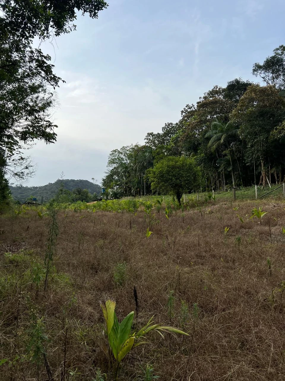 Imagens do imóveis Chácara Completa à Venda em Pirabeiraba