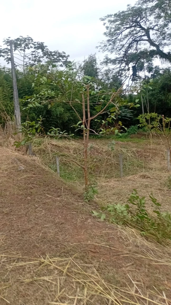 Imagens do imóveis Terreno à Venda no Rio Bonito (Pirabeiraba)