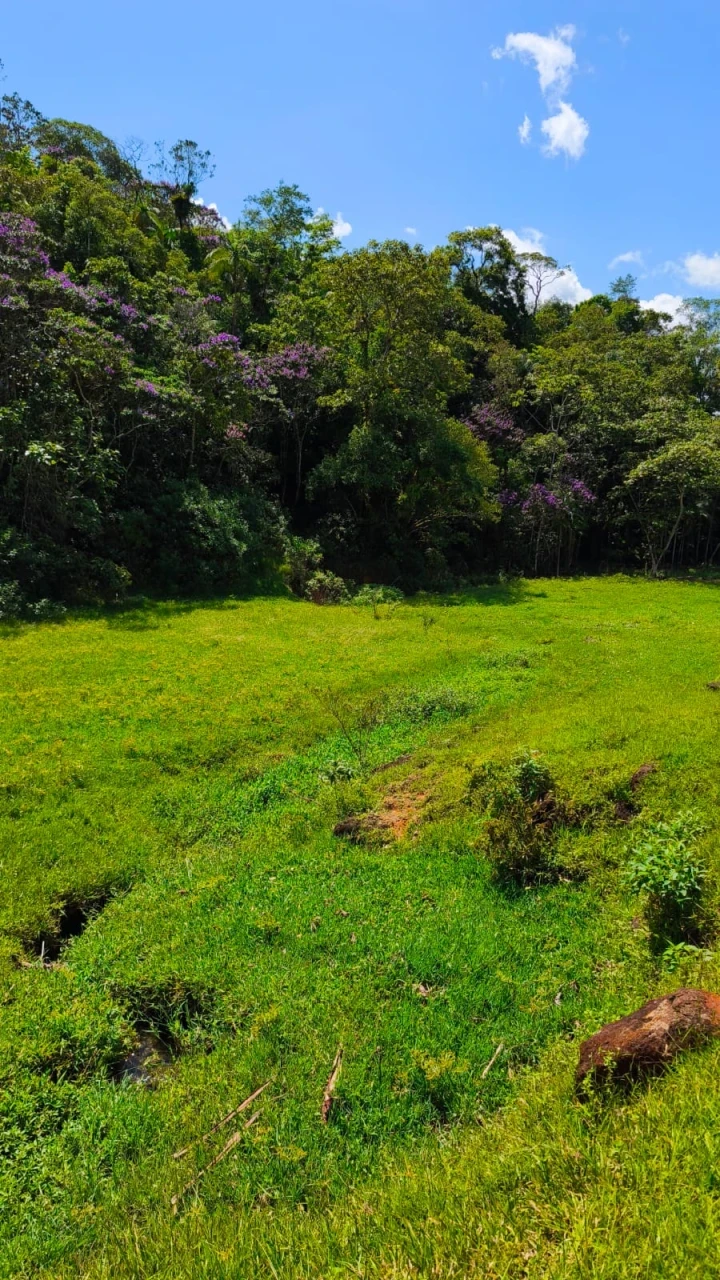 Imagens do imóveis Terreno À Venda Rio Bonito (Pirabeiraba) Joinville