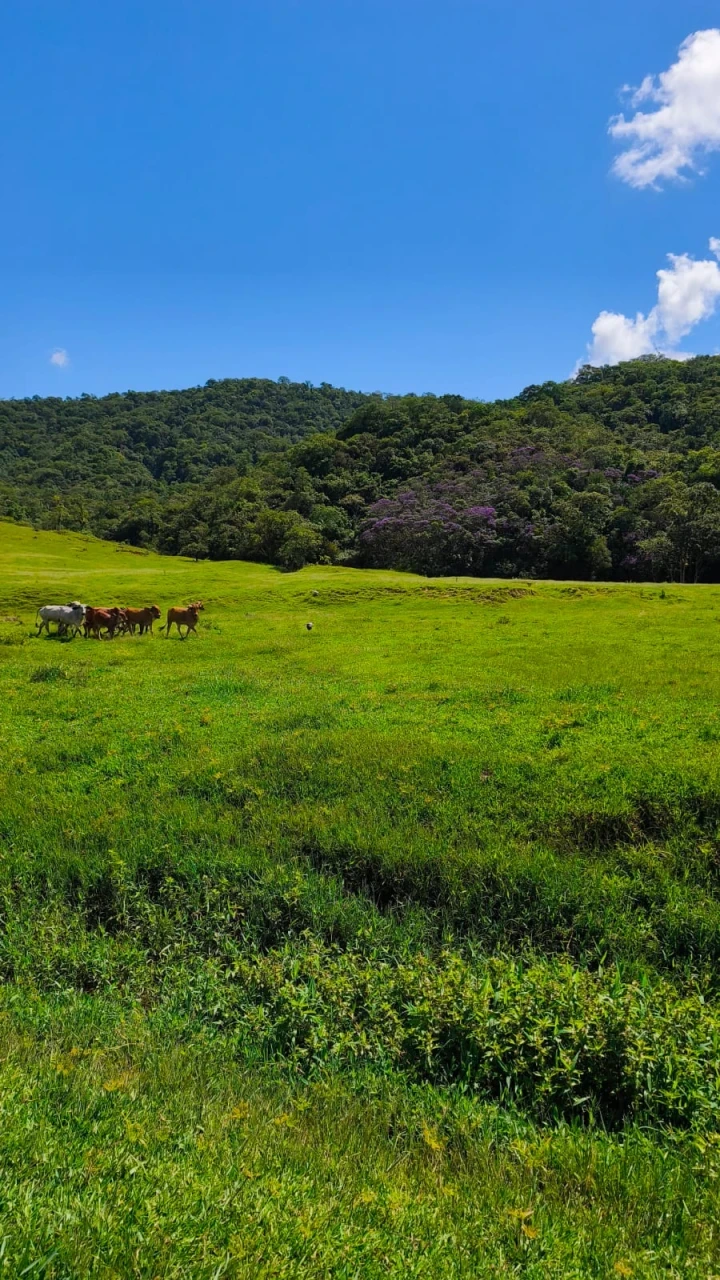 Imagens do imóveis Terreno À Venda Rio Bonito (Pirabeiraba) Joinville