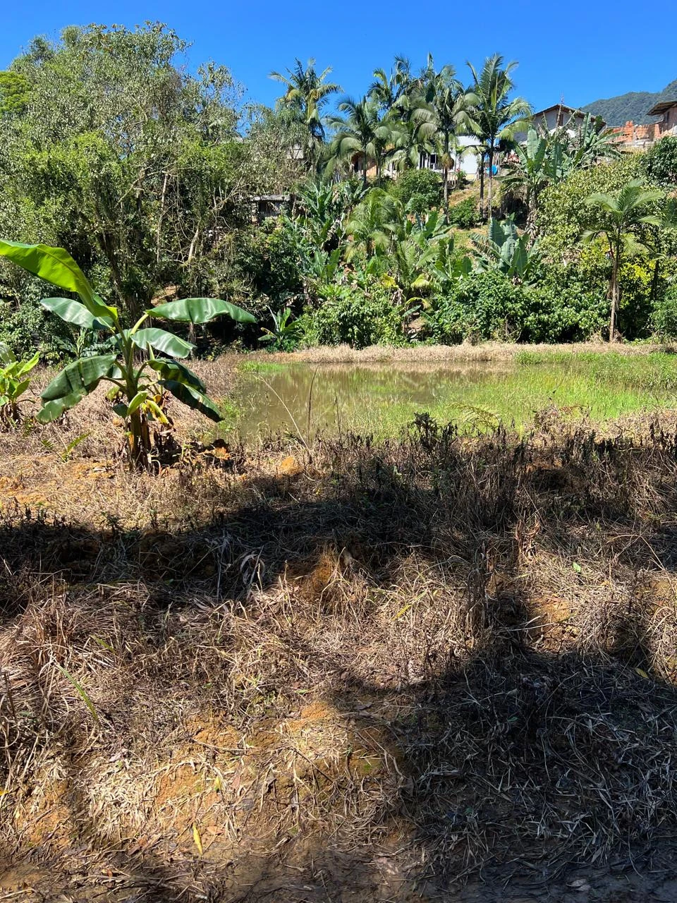 Imagens do imóveis Chácara à Venda Pirabeiraba  (Joinville)