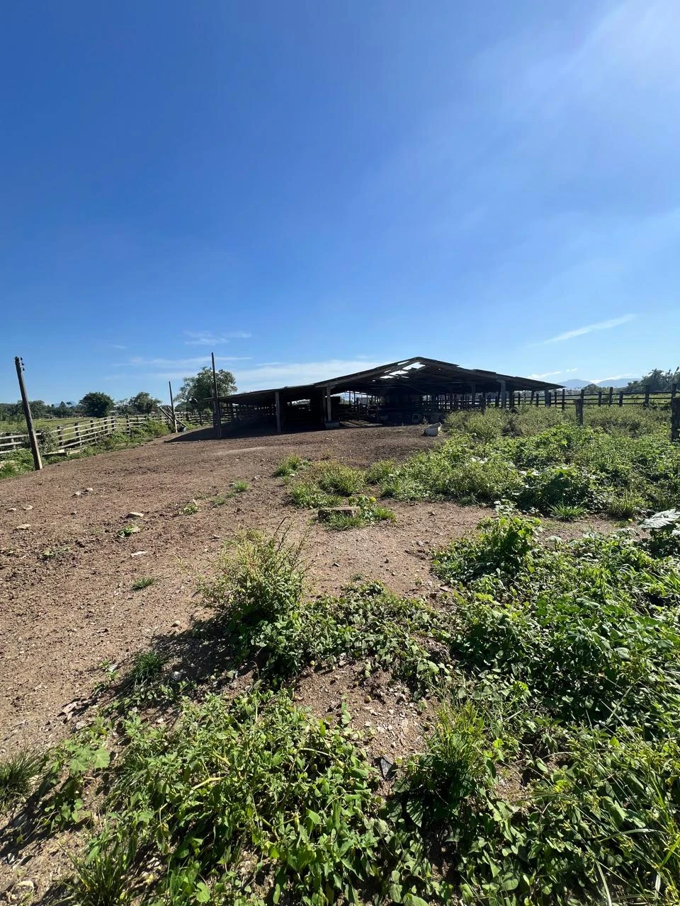 Imagens do imóveis Sítio à Venda Estrada da Ilha