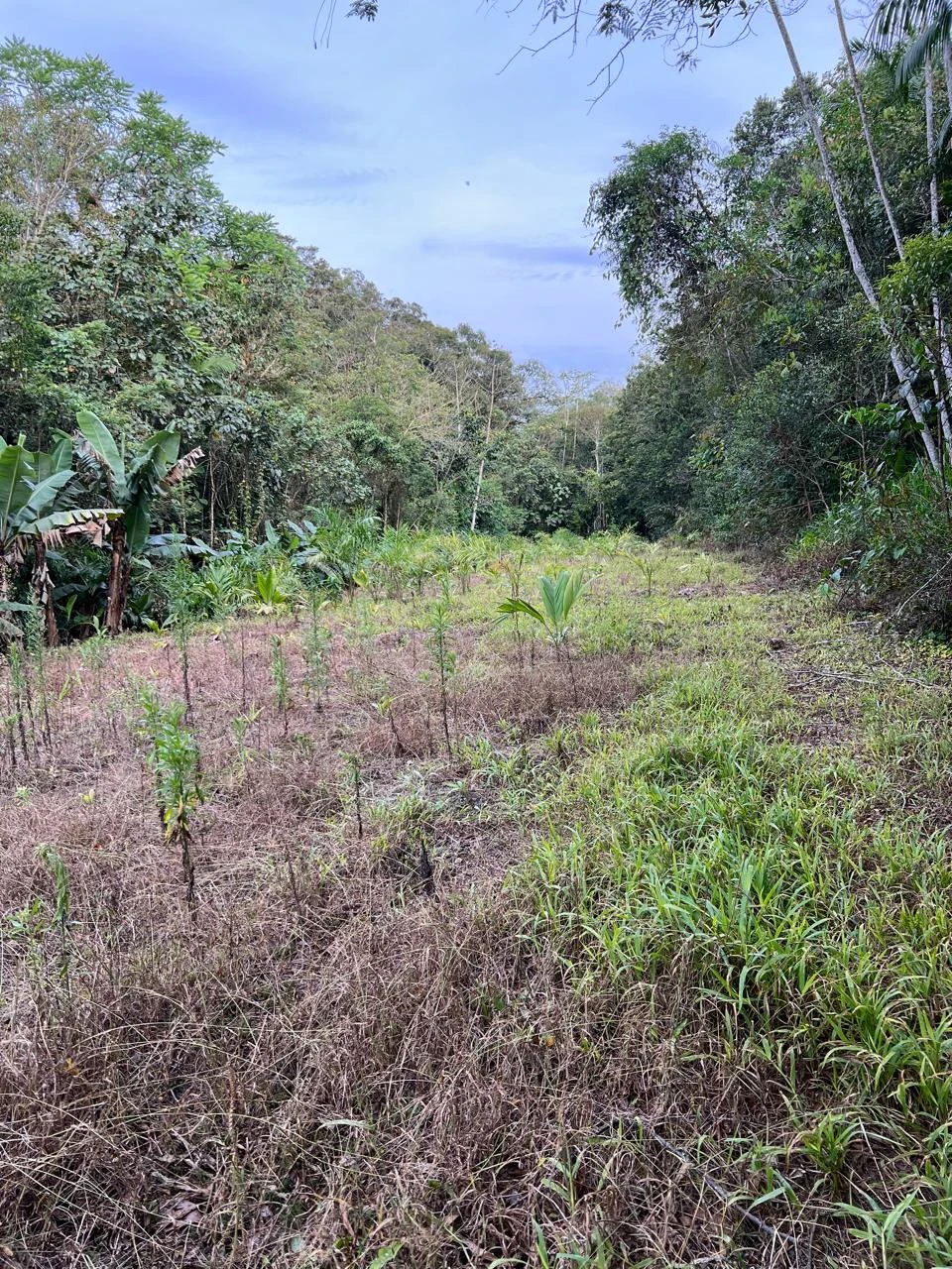 Imagens do imóveis Chácara Completa à Venda em Pirabeiraba