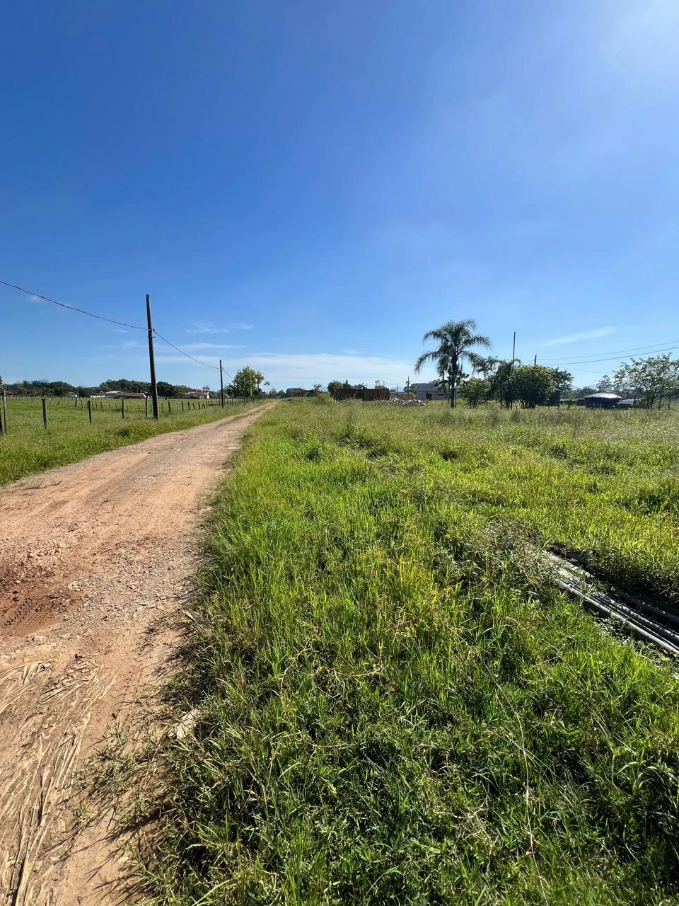 Imagens do imóveis Sítio à Venda Estrada da Ilha