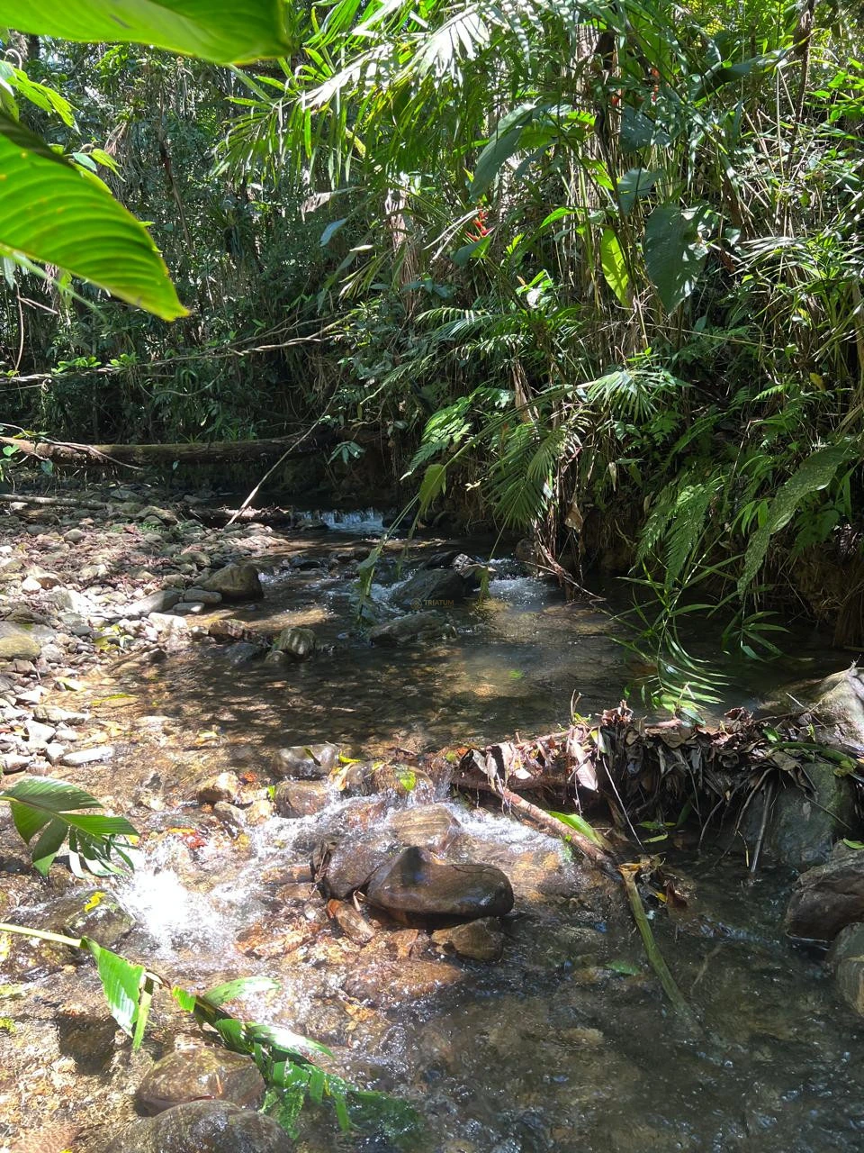 Imagens do imóveis Chácara à Venda Pirabeiraba  (Joinville)