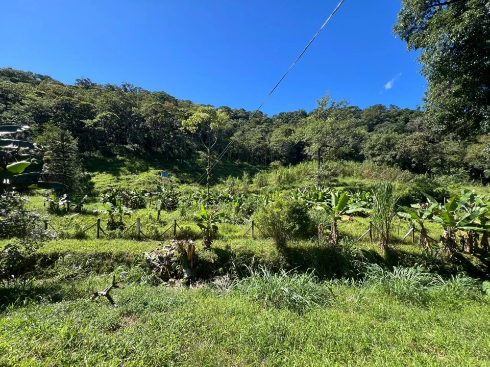 Imagens do imóveis Terreno à Venda na Estrada Rio da Prata (Pirabeiraba)