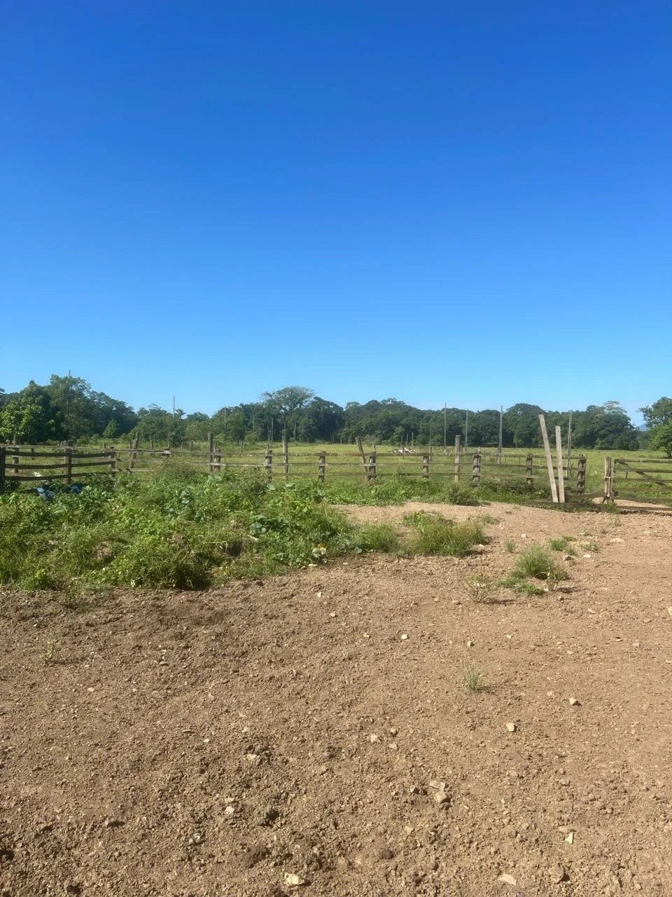 Imagens do imóveis Sítio à Venda Estrada da Ilha