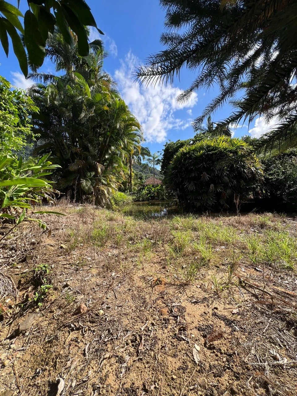 Imagens do imóveis Casa à venda na SC-418 (Pirabeiraba)
