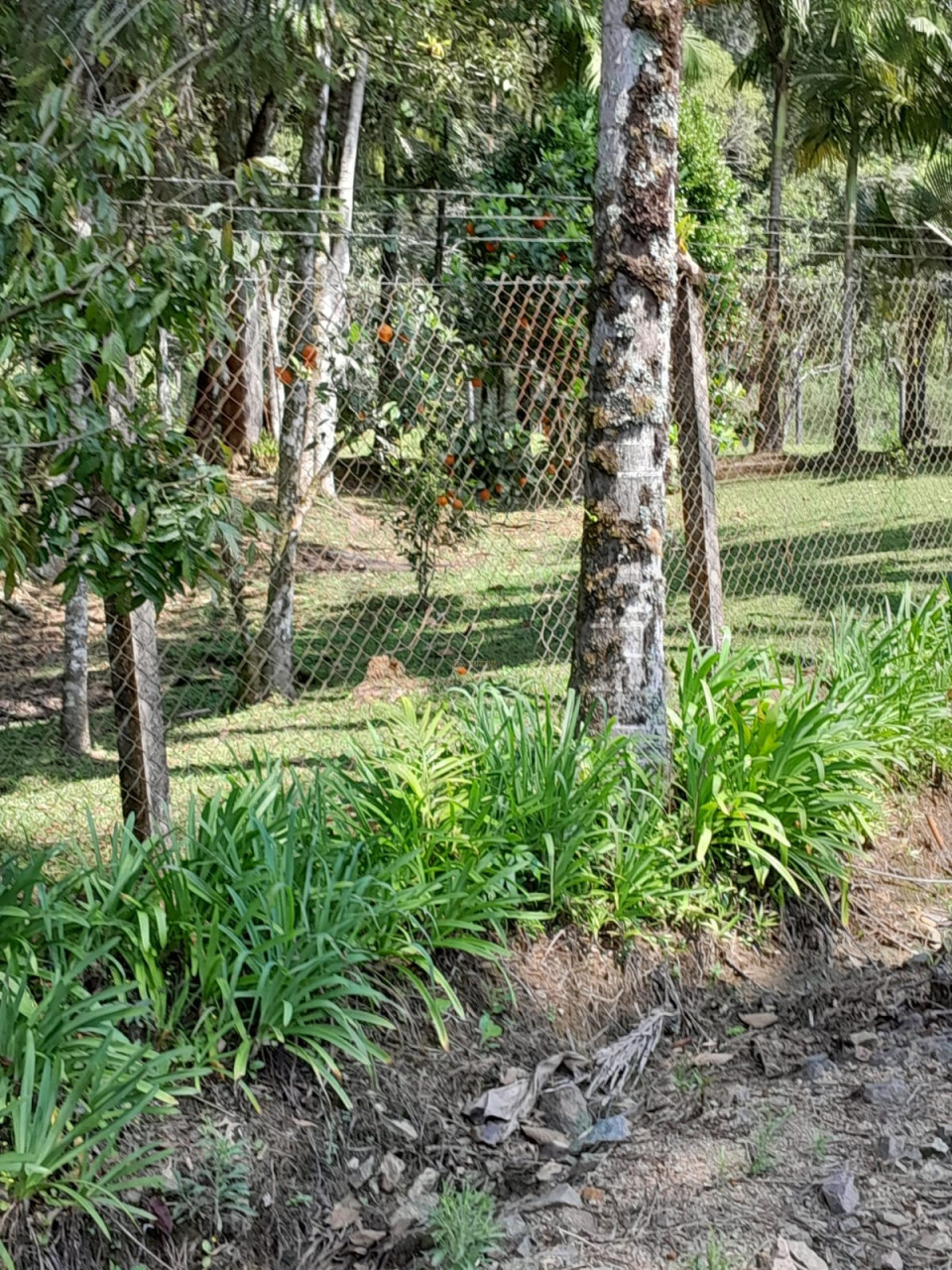 Imagens do imóveis CHACARA ENTRE CAMPO ALEGRE E JARAGUÁ DO SUL