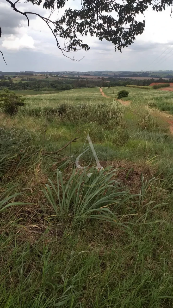 Imagens do imóveis Fazenda/Sítios/Chácaras À Venda Rural Nova Esperança