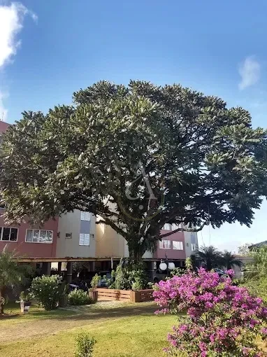 Imagens do imóveis Condomínio Parque Residencial Vitória Régia