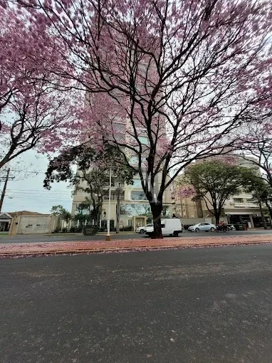 Imagens do imóveis Apartamento À Venda Condomínio Edifício Torre De Elohim Maringá