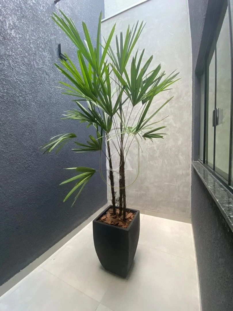 Imagens do imóveis Casa À Venda Jardim Paris Vi Maringá