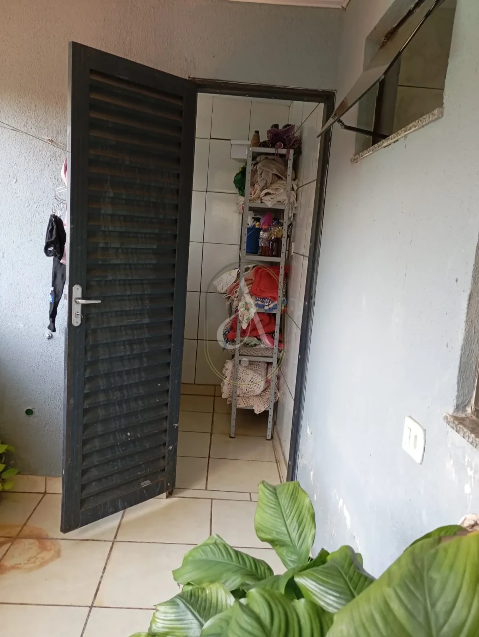 Imagens do imóveis Casa Ampla com Edícula e Piscina no Jardim São Silvestre Próximo a Polícia Federal !!