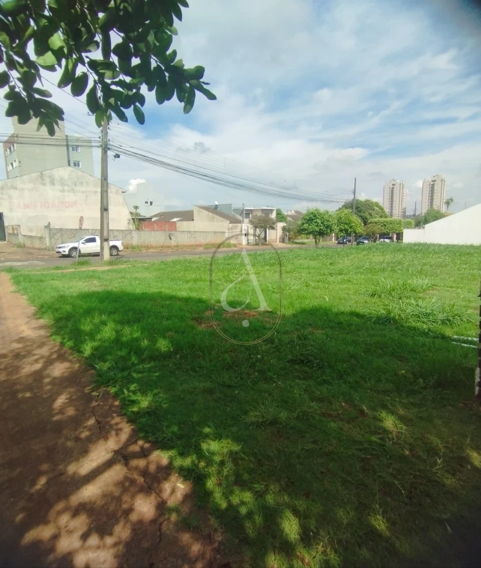 Imagens do imóveis Terreno Comercial À Venda na Avenida José Alves Nendo em Maringá!