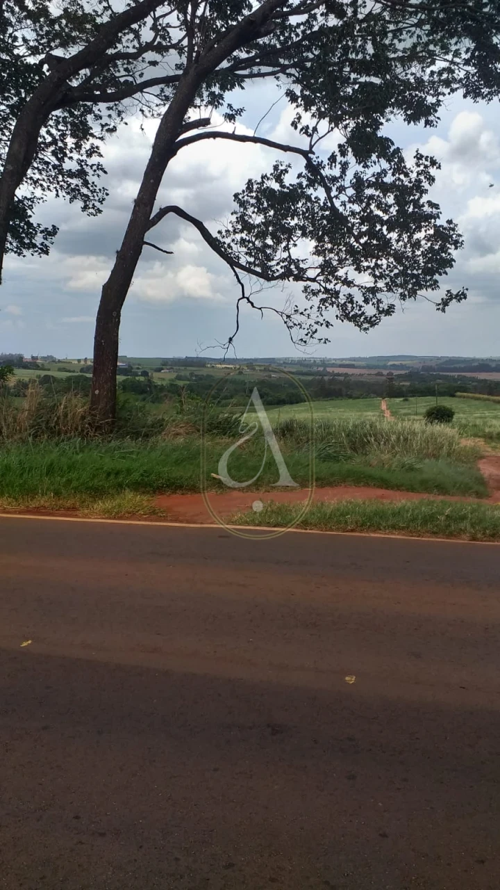 Imagens do imóveis Fazenda/Sítios/Chácaras À Venda Rural Nova Esperança