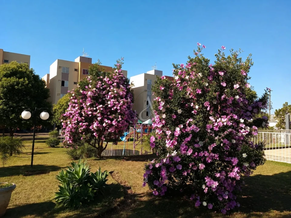 Imagens do imóveis Condomínio Parque Residencial Vitória Régia