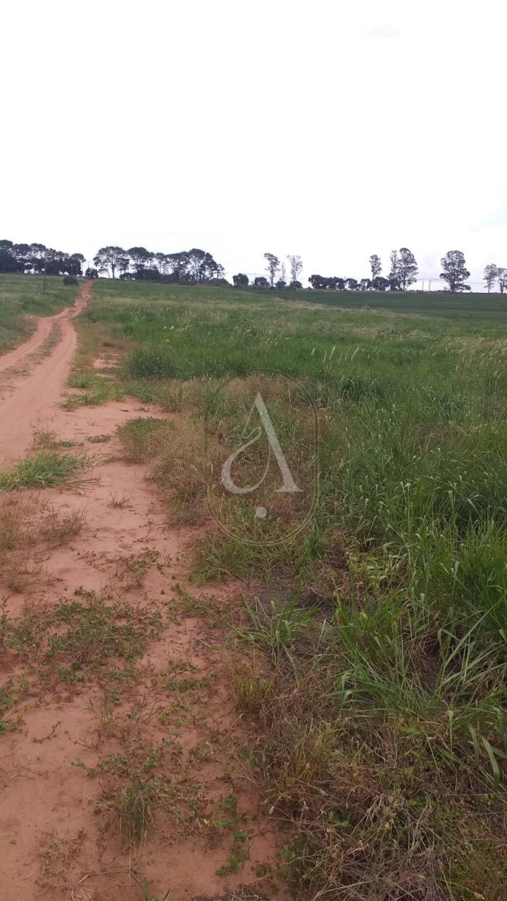 Imagens do imóveis Fazenda/Sítios/Chácaras À Venda Rural Nova Esperança