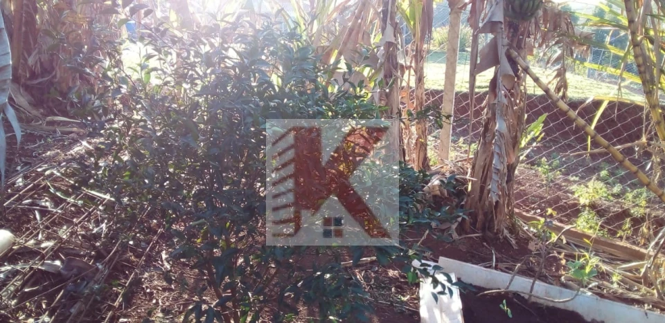 Imagens do imóveis CHÁCARA  A VENDA  OU TROCA-SE POR CASA NA REGIÃO SUL DISTRITO MARAVILHA PESQUEIRO SÃO  JOSÉ