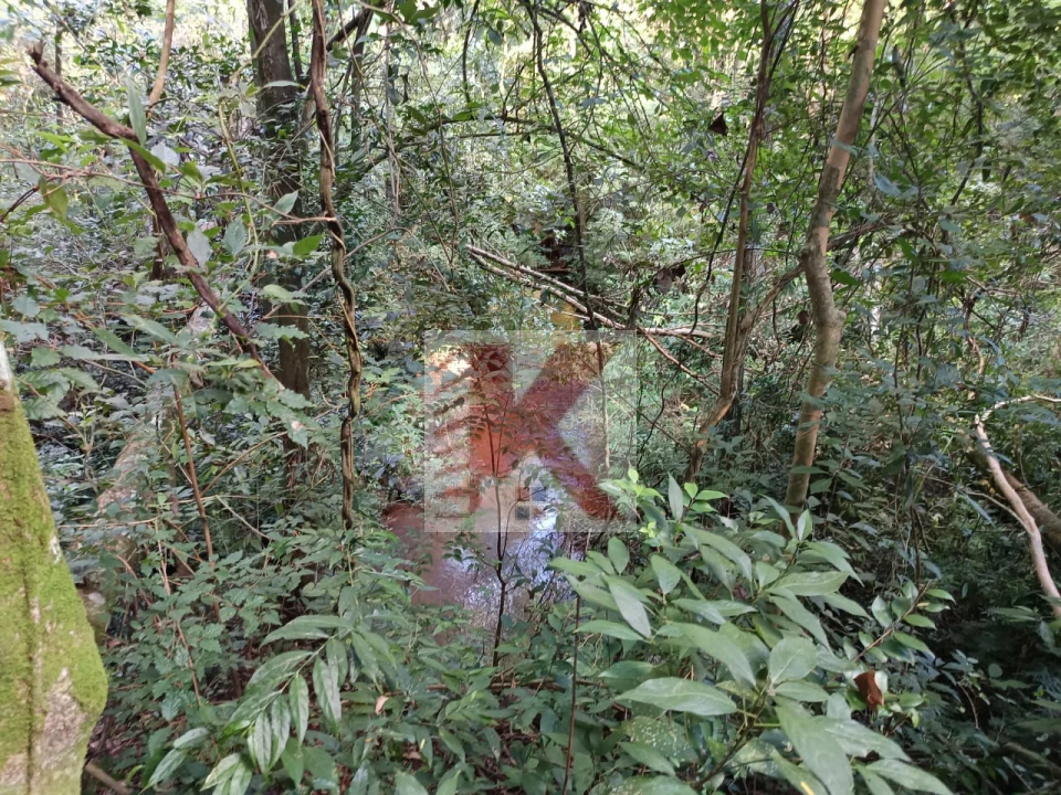 Imagens do imóveis Chácara Á Venda EM CONDOMINIO ACEITA CASA COMO PERMUTA CHÁCARA NA ESTRADA DOS PIRIQUITOS