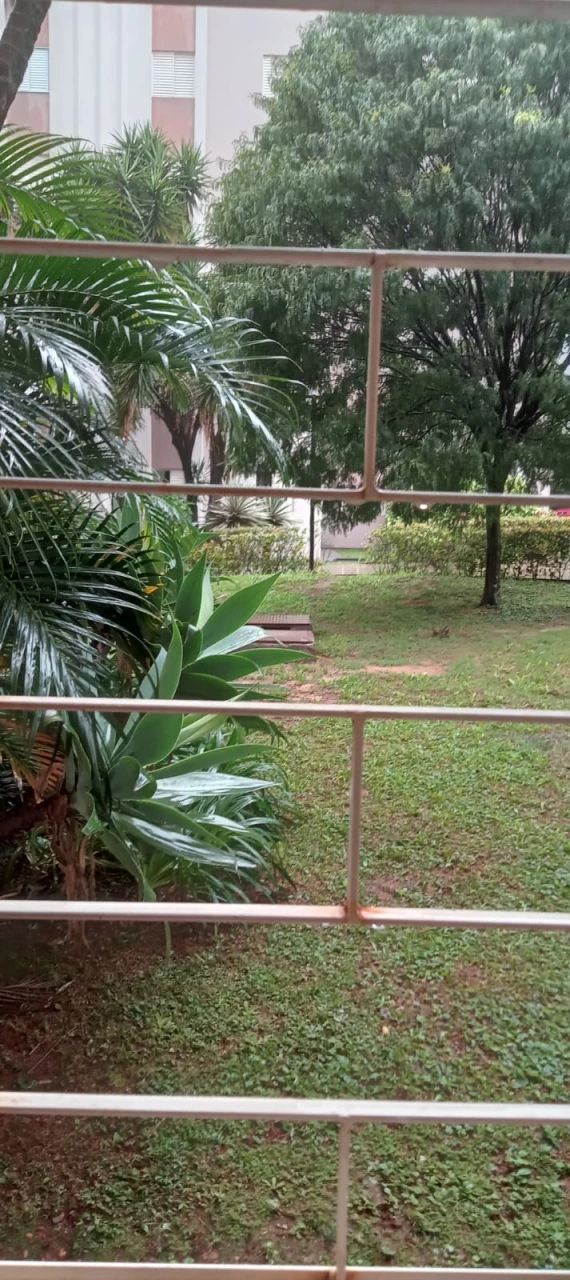 Imagens do imóveis Residencial Quinta do Boa Vista I - Torre D. Pedro I