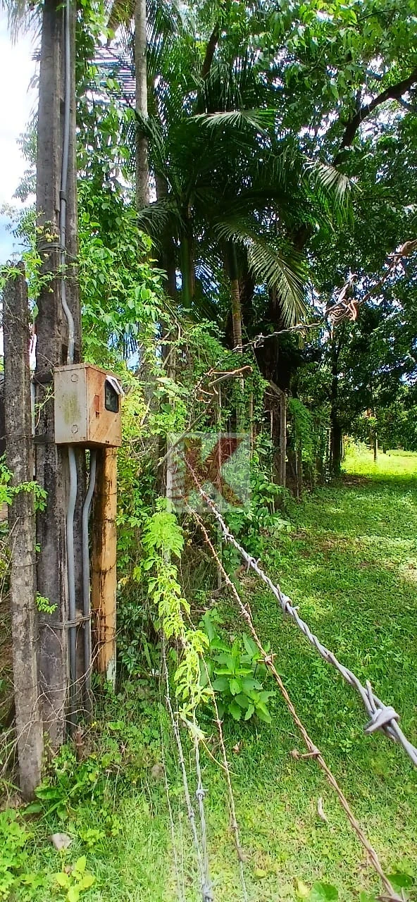 Imagens do imóveis Fazenda/Sítios/Chácaras À Venda Usina Três Bocas Londrina