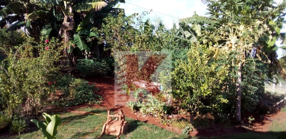 Imagens do imóveis CHÁCARA  A VENDA  OU TROCA-SE POR CASA NA REGIÃO SUL DISTRITO MARAVILHA PESQUEIRO SÃO  JOSÉ