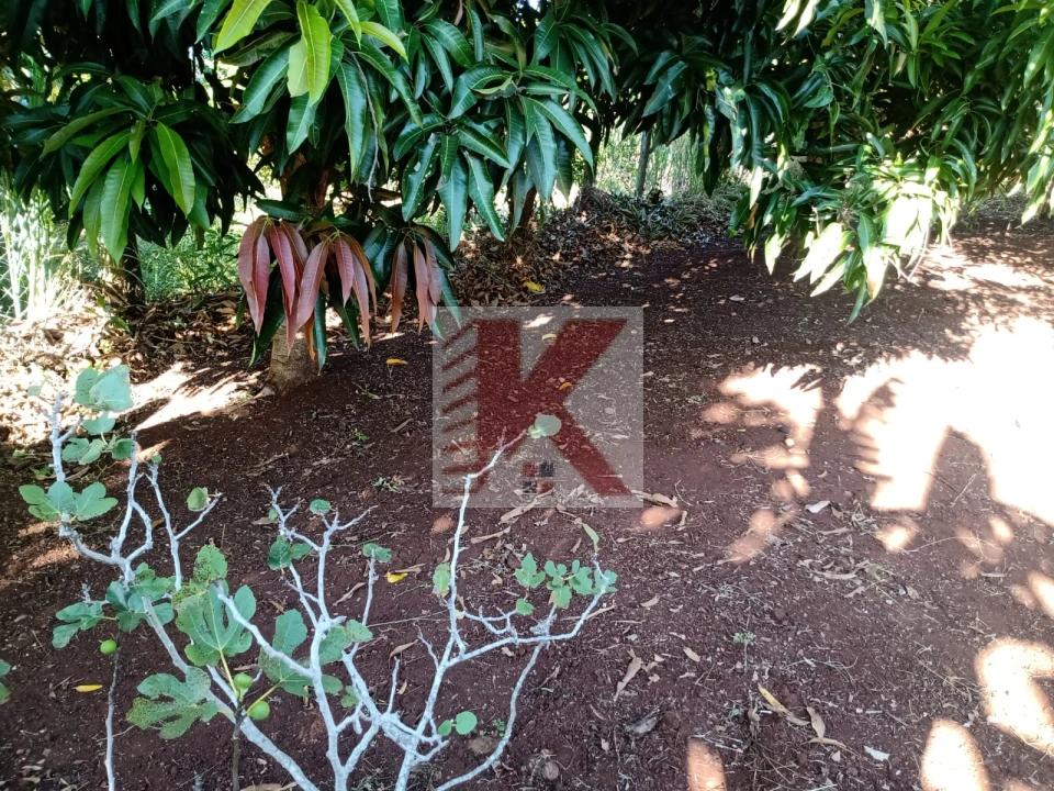 Imagens do imóveis CHÁCARA A VENDA EM ALVORADA DO SUL ACEITA CASA NA PERMUTA NA REGIÃO DE CAMBÉ,JD SABARÁ JD MONTECATINI,JD SÃO PAULO  CONTATO 43 99643.1383