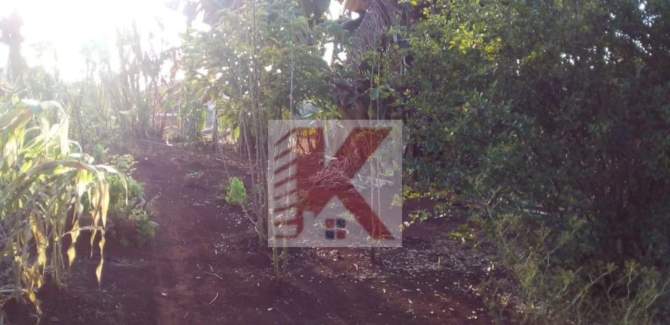 Imagens do imóveis CHÁCARA  A VENDA  OU TROCA-SE POR CASA NA REGIÃO SUL DISTRITO MARAVILHA PESQUEIRO SÃO  JOSÉ