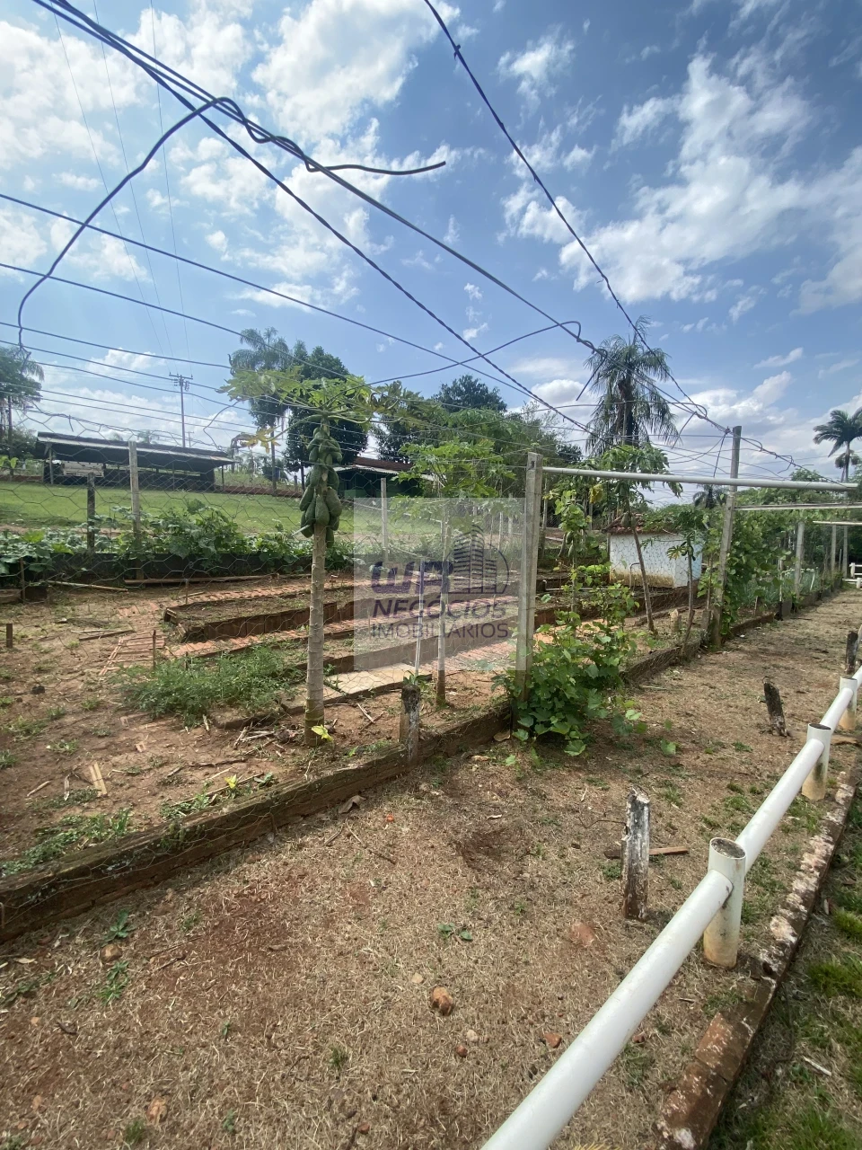 Imagens do imóveis Pousada Beira do Rio Tibagi
