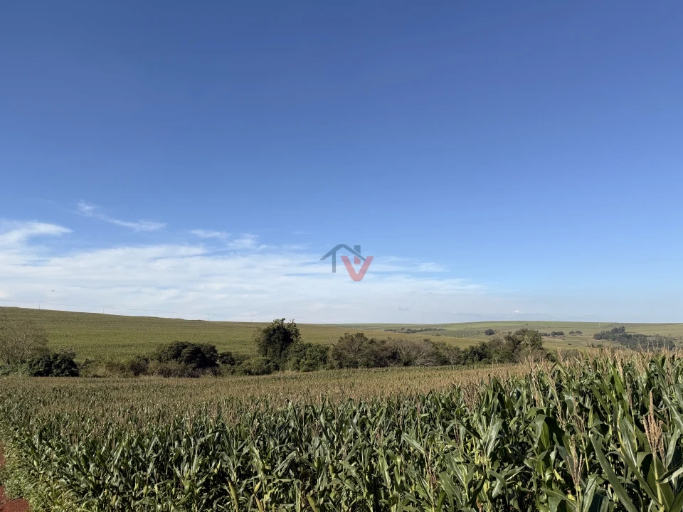 Imagens do imóveis Fazenda/Sítios/Chácaras À Venda