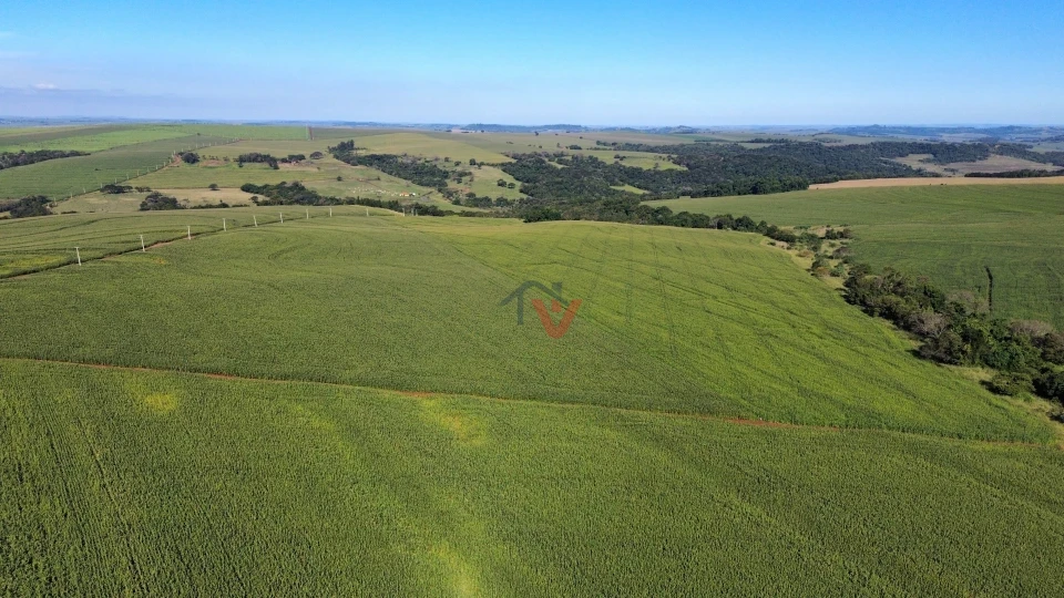 Imagens do imóveis Fazenda/Sítios/Chácaras À Venda