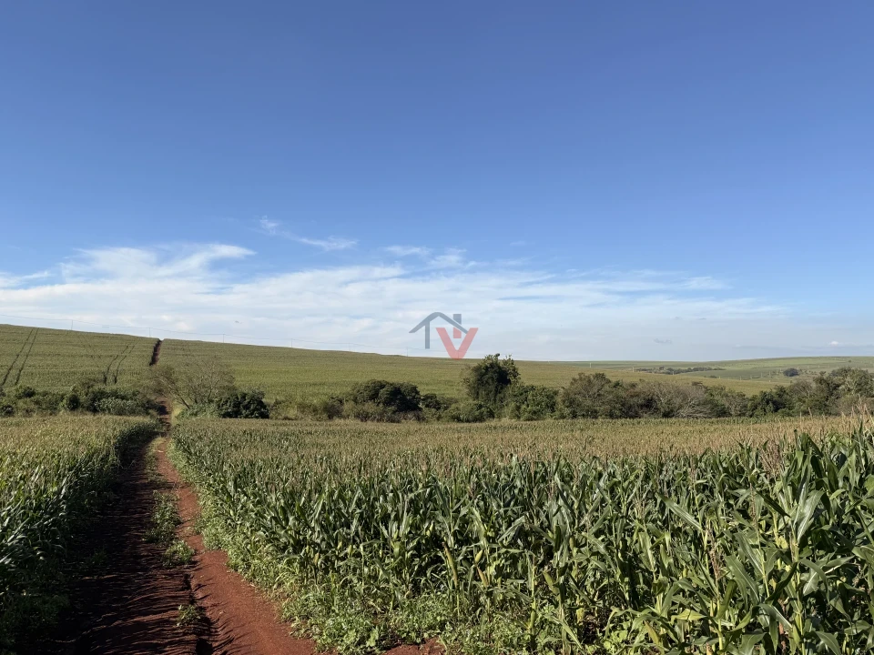 Imagens do imóveis Fazenda/Sítios/Chácaras À Venda