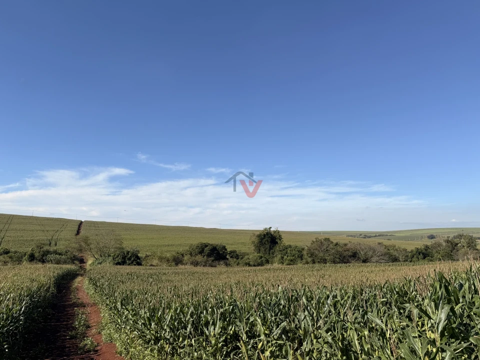 Imagens do imóveis Fazenda/Sítios/Chácaras À Venda