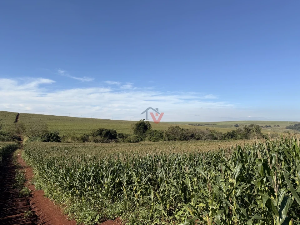 Imagens do imóveis Fazenda/Sítios/Chácaras À Venda