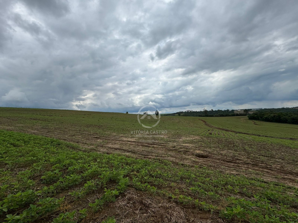 FAZENDA COM 380 ALQUEIRES