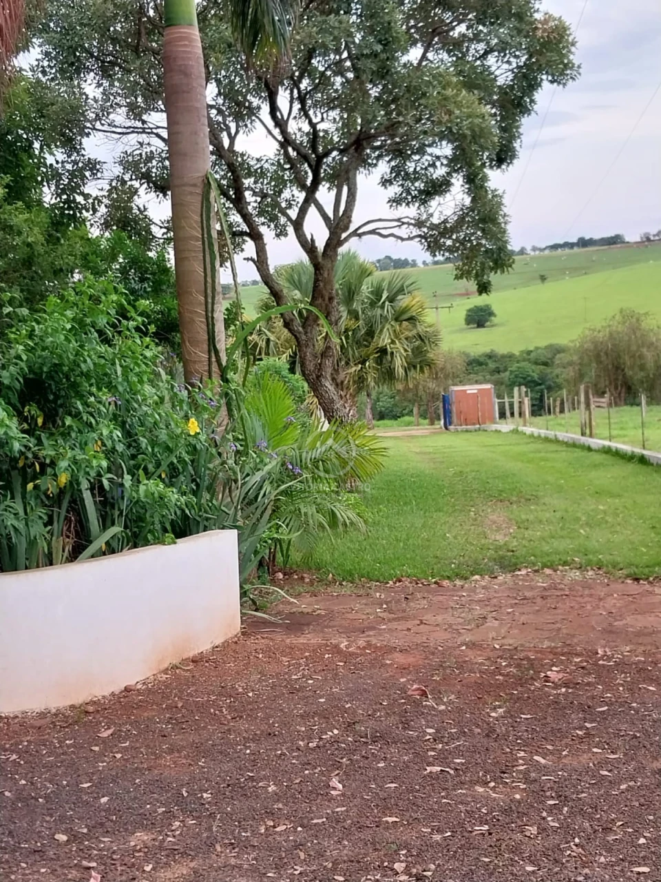 Imagens do imóveis SITIO DE 2 ALQUEIRES