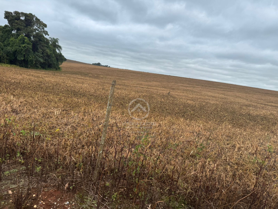 FAZENDA COM 380 ALQUEIRES