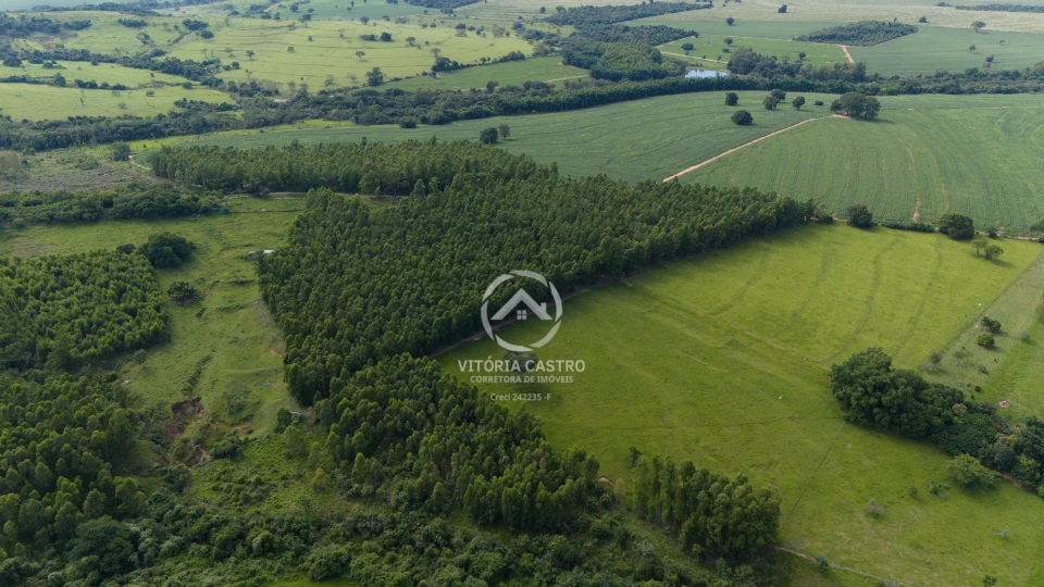 FAZENDA EM ECHAPORÃ 57 ALQUEIRES