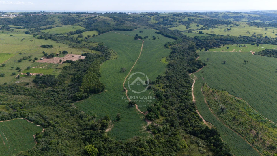 FAZENDA EM ECHAPORÃ 57 ALQUEIRES