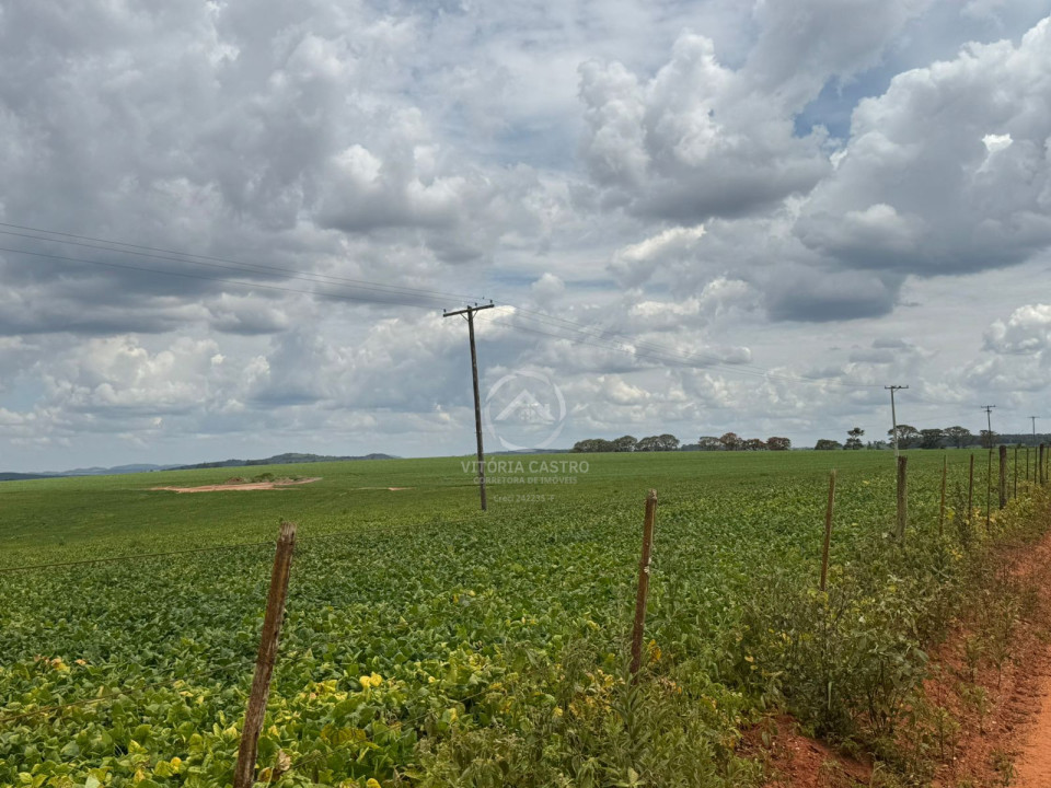 FAZENDA COM 380 ALQUEIRES