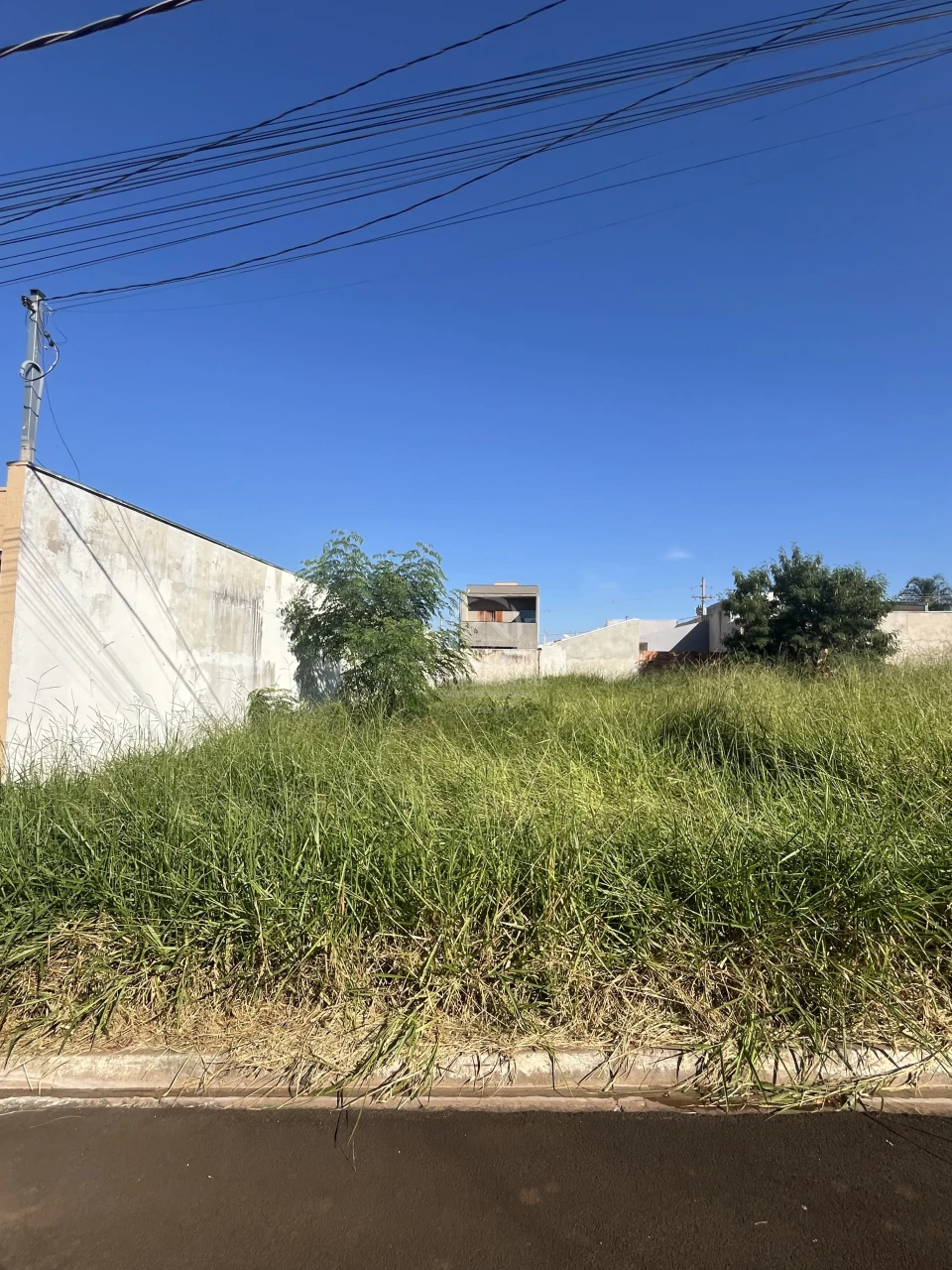 TERRENO