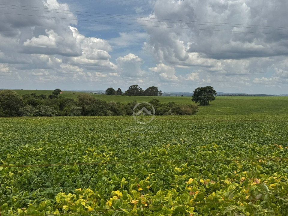 FAZENDA COM 380 ALQUEIRES