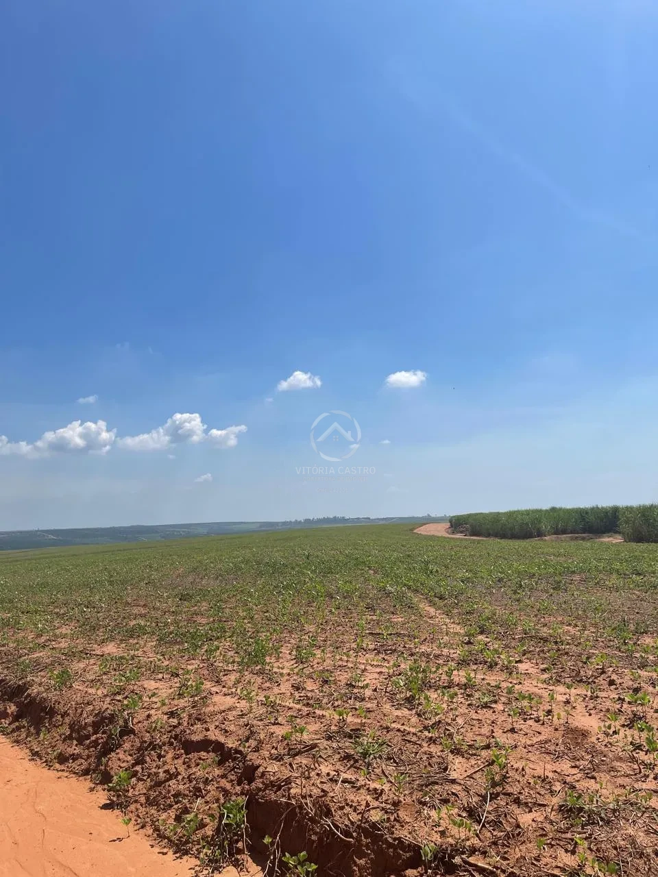 SITIO COM 35,35 ALQUEIRES